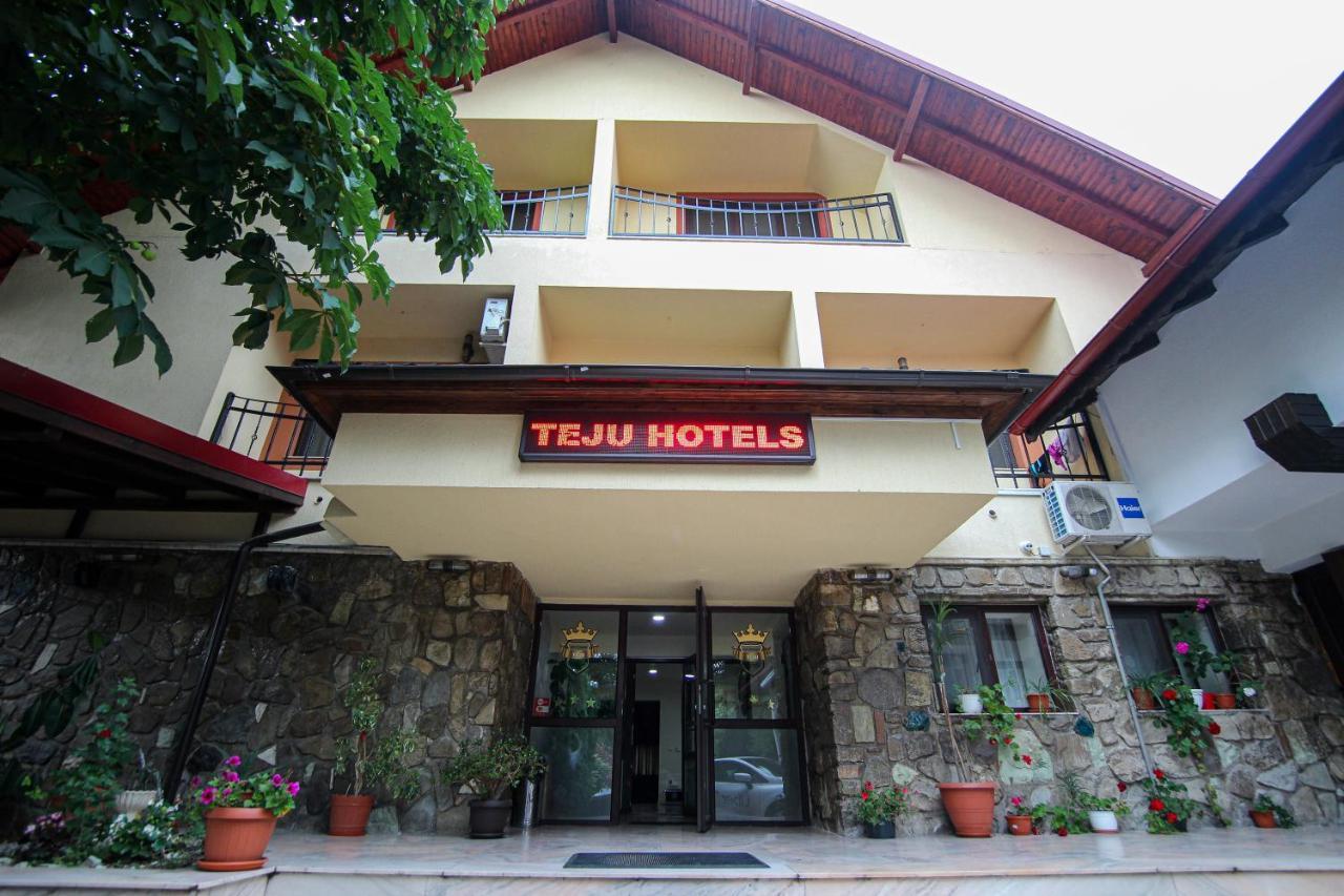 Teju Hotels Slănic Εξωτερικό φωτογραφία